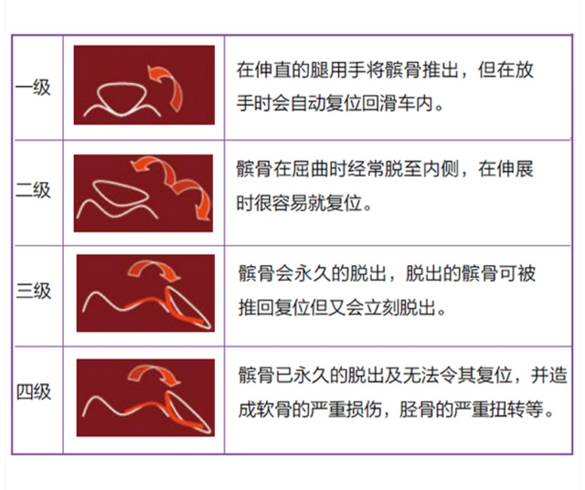 泰迪狗髌骨脱位怎么办，泰迪狗髌骨脱位吃什么药好（没达到这些标准是不需要手术治疗的）