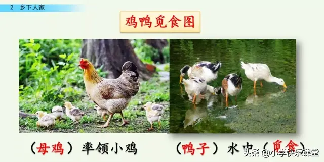 耸的部首（送的部首，小学部编四年级语文下第2课《乡下人家》图文+知识点+同步练习