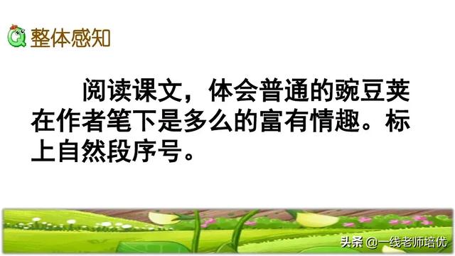 才华横溢的近义词，形容聪明才华横溢的成语有哪些（部编四年级上第5课《一个豆荚里的五粒豆》重点知识+课文讲解）