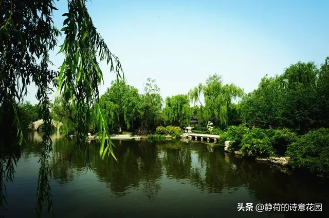 关于春天的诗歌，写给春天的诗歌仿写三年级（隔屏都感觉到了盎然生机与活力）