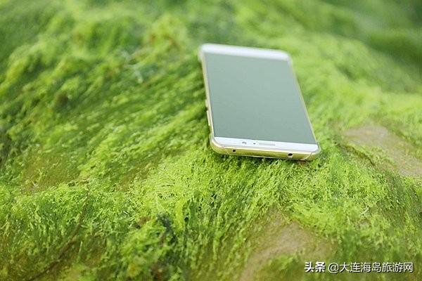 大连西中岛怎么样，西中岛旅游攻略（2019年五一小长假）