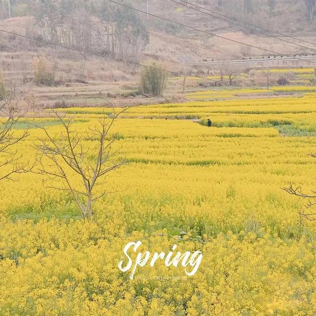 昆明好玩的地方，昆明好玩的地方排行榜（12个昆明近郊亲子自驾游好去处）