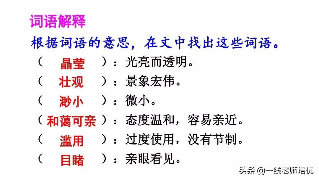 保护地球的标语，保护环境保护地球的标语有哪些（统编六年级上册第18课《只有一个地球》重点知识点+课件）