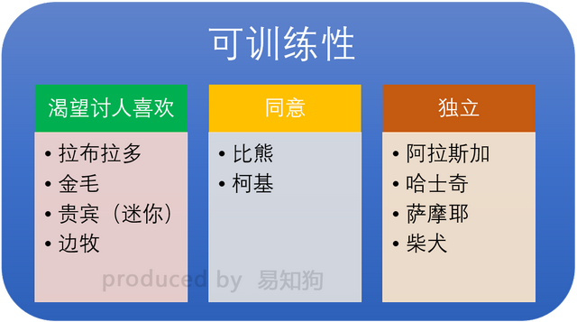 常见犬类品种大全，犬分类品种大全（国内十大流行犬种横向对比）