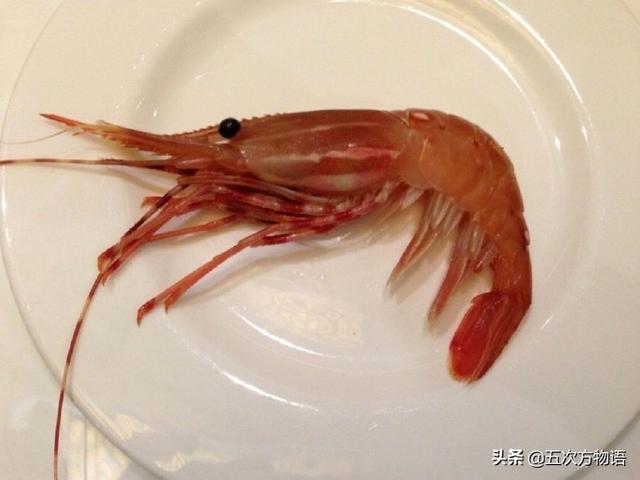 小红虾叫什么,小红虾仁是什么虾(龙虾不是虾,对虾更不是虾)