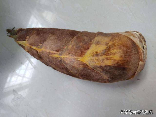 笋丝炒肉最正宗的做法，笋干丝炒肉的做法大全（多做这一步的竹笋炒肉丝）