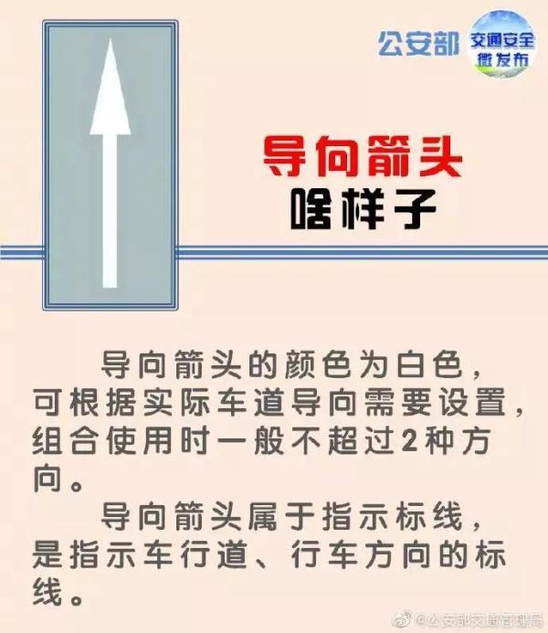 道路双箭头标志表示什么，路面上画的各种箭头都代表什么