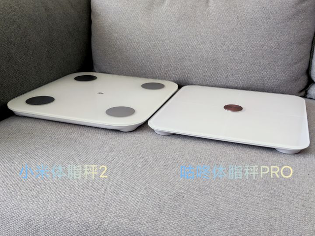 小米体脂秤app，小米体脂秤2怎么测体脂（咕咚、小米体脂秤全体验）