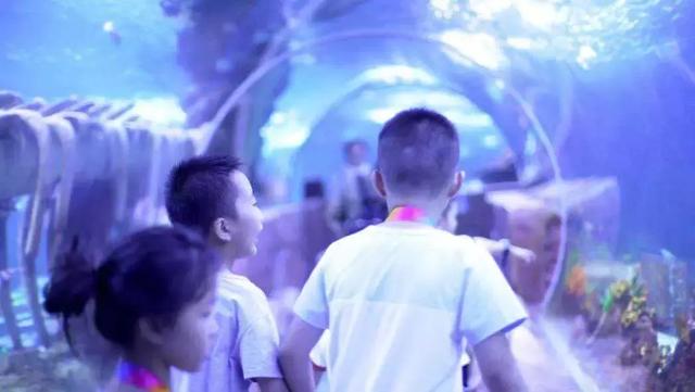 西安海洋馆，一天玩转曲江海洋公园的攻略现在才知道（西安海洋馆作文）