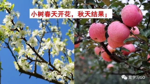 世汉字读音解释介绍，世的拼音（部编版二年级下册第24课《当世界年纪还小的时候》知识点图文讲解）