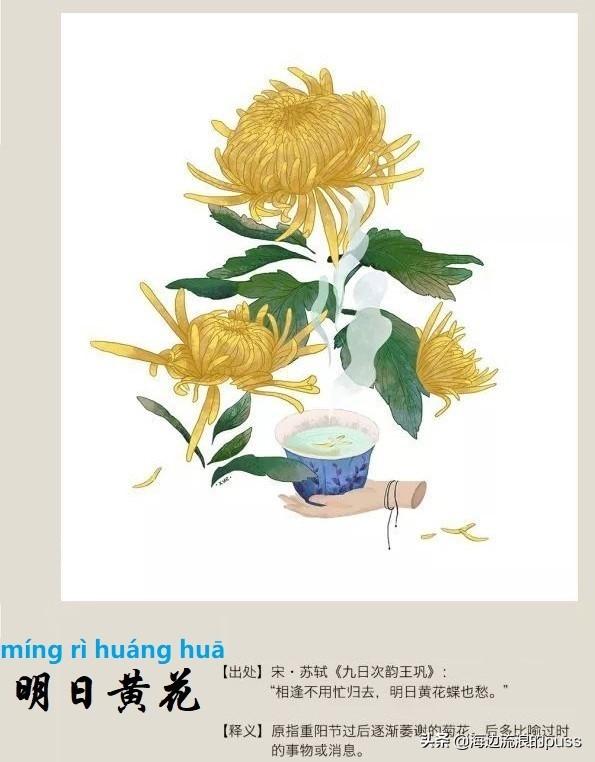 如火如荼是褒义词还是贬义词，如日中天是贬义词吗（那些易读错易用错的成语）