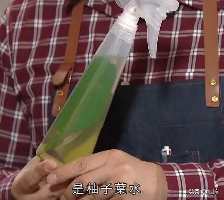 柚子叶去晦气的方法，用柚子叶辟邪讲究什么（如何成为广东人的转运密码）
