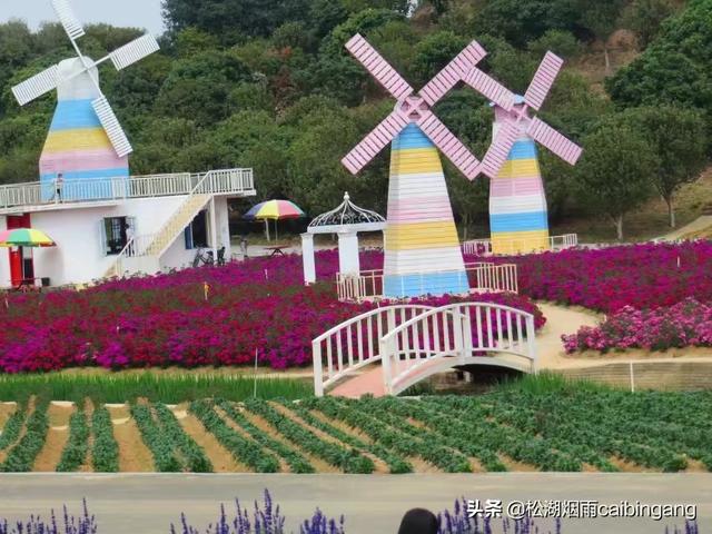 东莞梦幻百花洲，东莞梦幻百花洲怎样（梦幻百花洲）