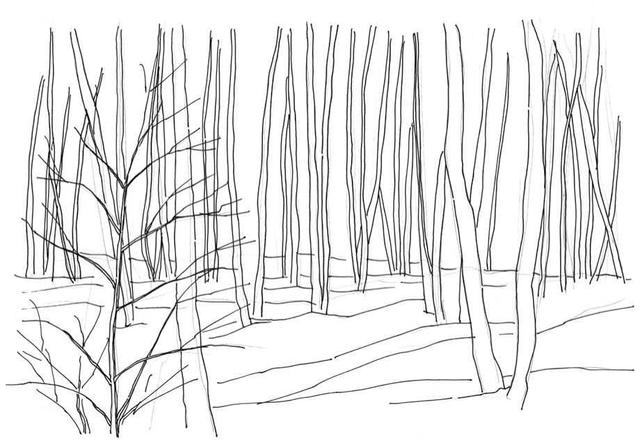 小树简笔画怎么画，小树的简笔画怎么画（教你三种常见树木画法）