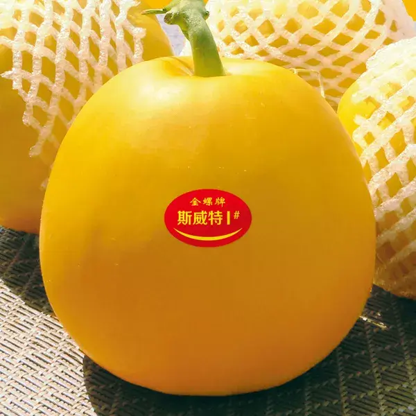 中国10种最甜的甜瓜，最香甜的甜瓜品种（附4种市场爆款品种）