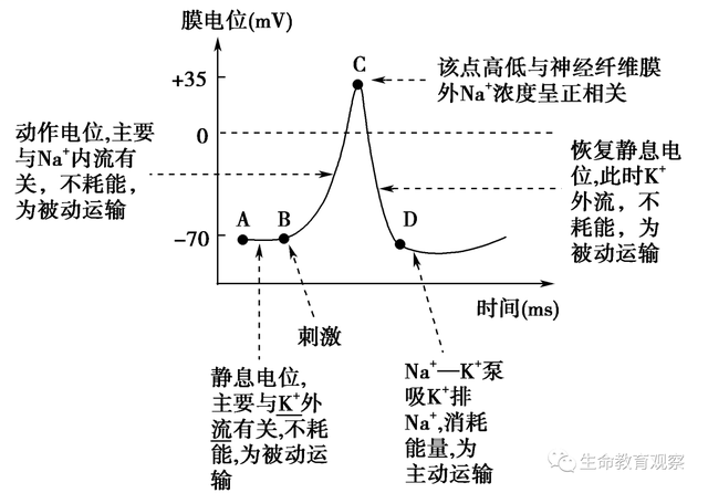 内环境的组成成分，内环境的组成成分含义（高三一轮复习必修三细节梳理和重点题型）