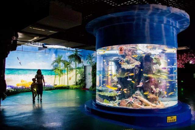 昆明这个地方海洋馆都有哪几个啊，昆明海洋馆在什么地方（科普保护1.4亿年的“水中国宝”）