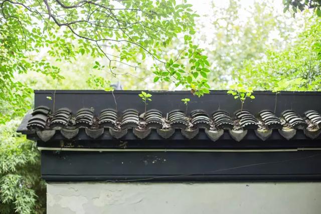 半价出售打一字，半价出售打一个字（汉字能扎心到什么地步）