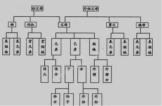 显性基因和隐性基因，什么是显性基因和隐性基因（第三节基因的显性和隐性知识梳理）