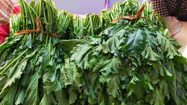 腌水豆腐的制作方法，腌水豆腐的制作方法和步骤（爱吃腌雪里蕻的要收藏好）