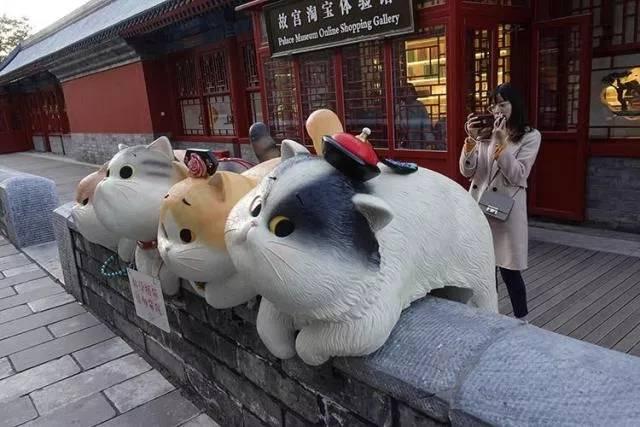故宫最胆小御猫，我们只是惊呼是不够的