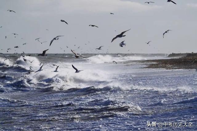 火山最多的国家，世界上最大的火山口位于哪个国家（98条“地理之最”知识点）