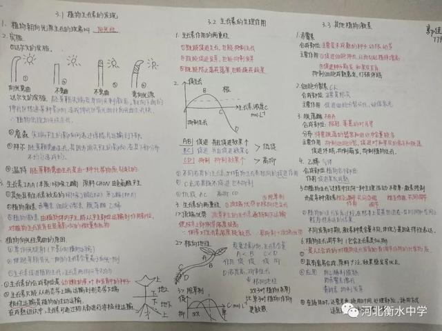 电脑中怎样把白纸变成横格纸，阅卷老师狂赞的“衡水体”书写视频曝光