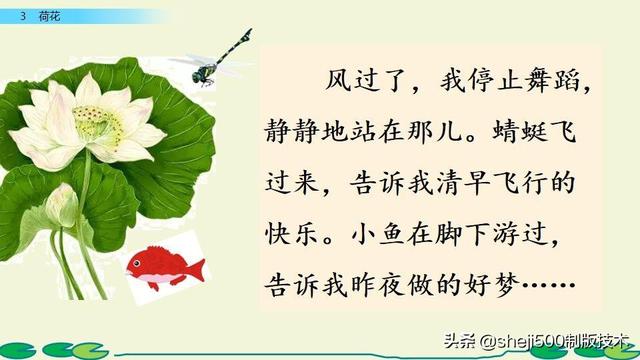 莲蓬的蓬是不是读轻声，莲蓬的蓬为什么读轻声（部编版语文三年级下册第3课《荷花》图文讲解）