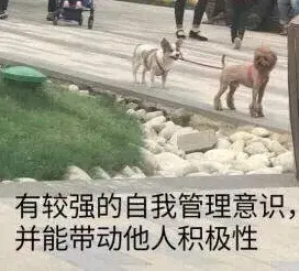 游戏昵称骚而不俗的，骚而不俗的游戏昵称有哪些（都死于“如何起个骚网名”）