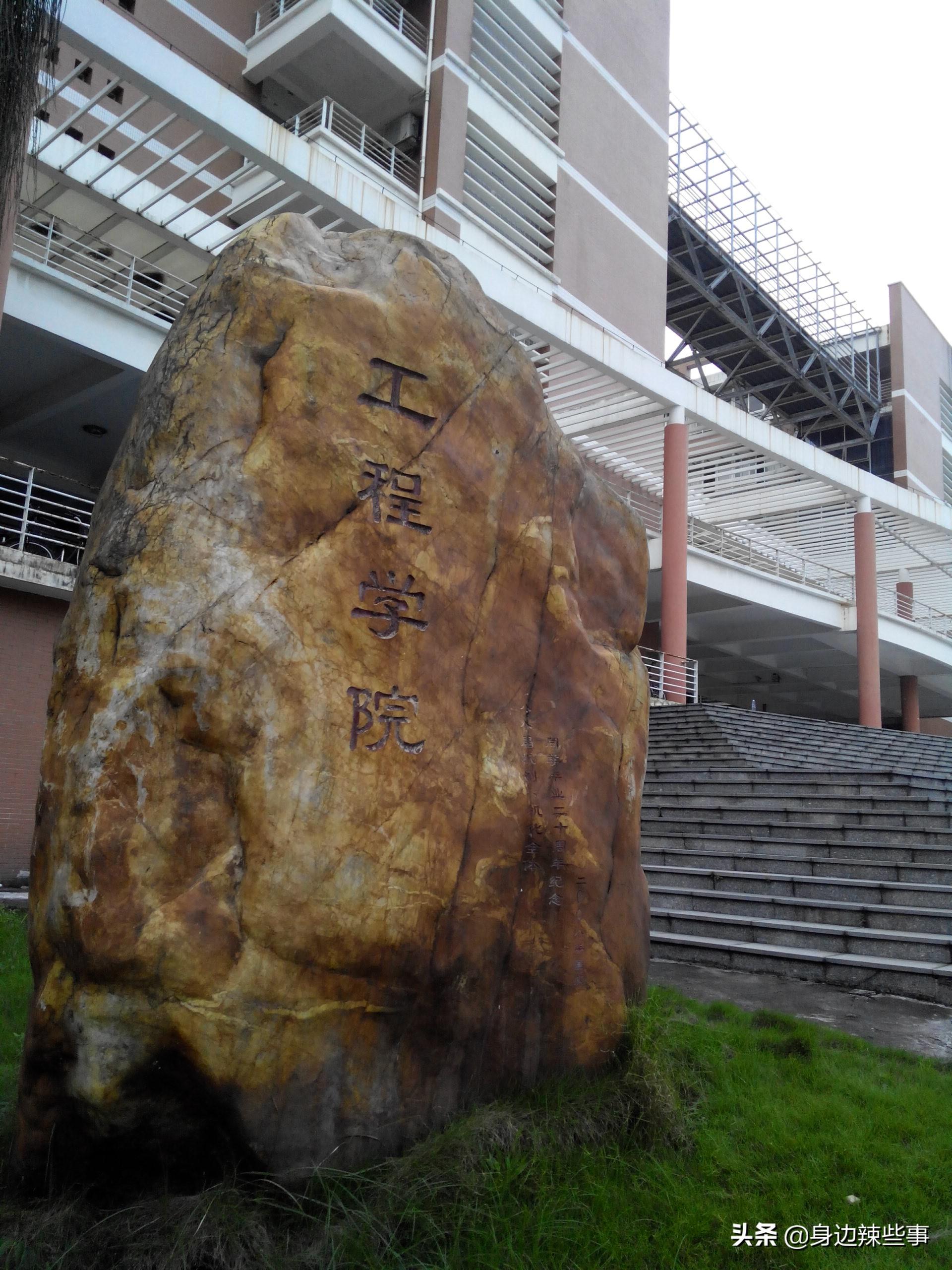 华南农业大学官网(农业硕士不如不考)