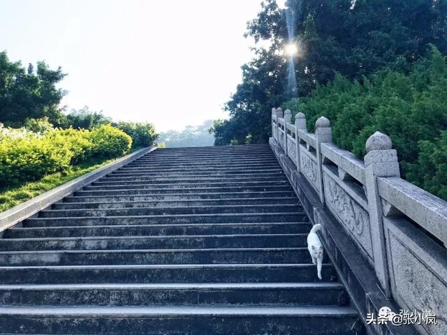 潮汕旅游攻略2天1夜行程，潮汕自驾纯玩2天2夜攻略