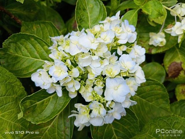 什么手机最薄，这三款手机让你时刻轻松“掌握”（2022最薄手机）