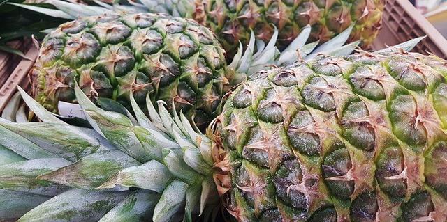 菠萝盆栽种植技术，夏季养护菠萝盆栽的4个简单步骤