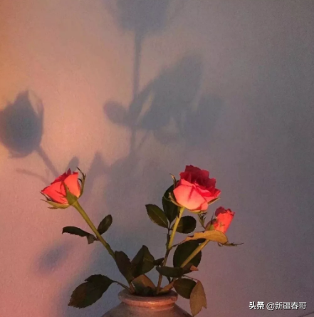 幽默的生日祝福语，生日祝福语搞笑大全（老公生日祝福语幽默精选50则）