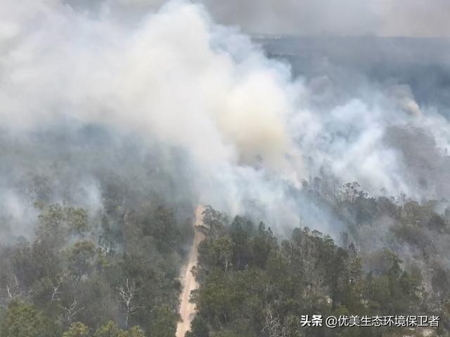 澳大利亚大火怎么引起的，如何看待澳大利亚大火事件（澳大利亚弗雷泽岛又发生了森林大火）