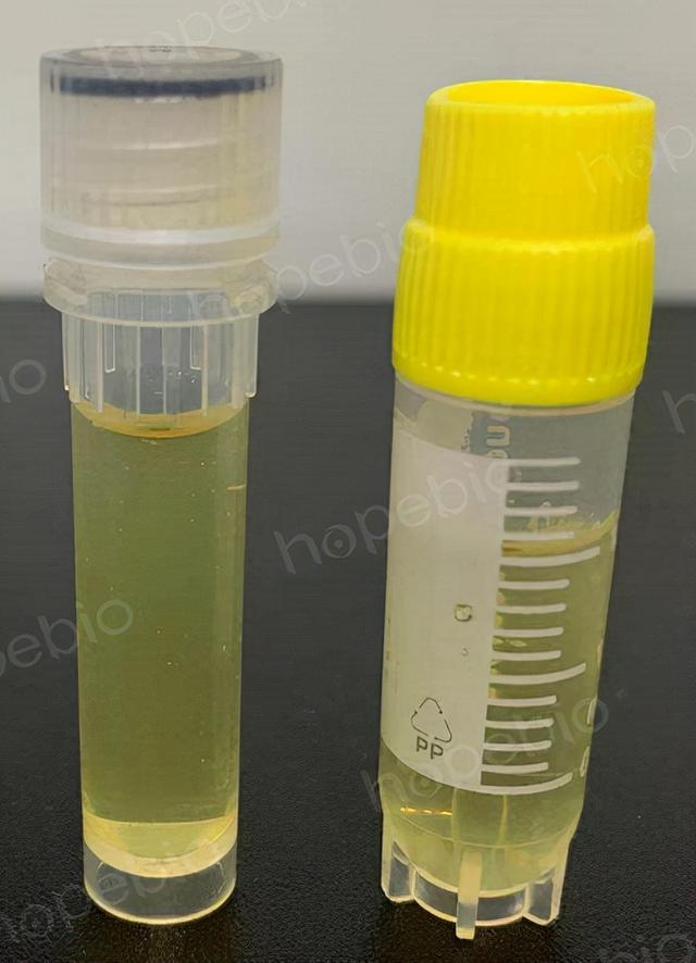 食用菌液体菌种！，食用菌液体菌种配方（常用菌种的传代与保存方法）