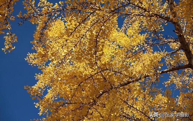 如何选择uv镜，怎么选择uv镜（CPL偏光镜、ND减光镜、UV镜如何选）