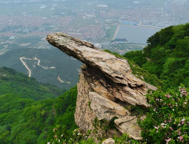 花果山旅游攻略，花果山景区在哪里（一生建议游玩的一个景点）