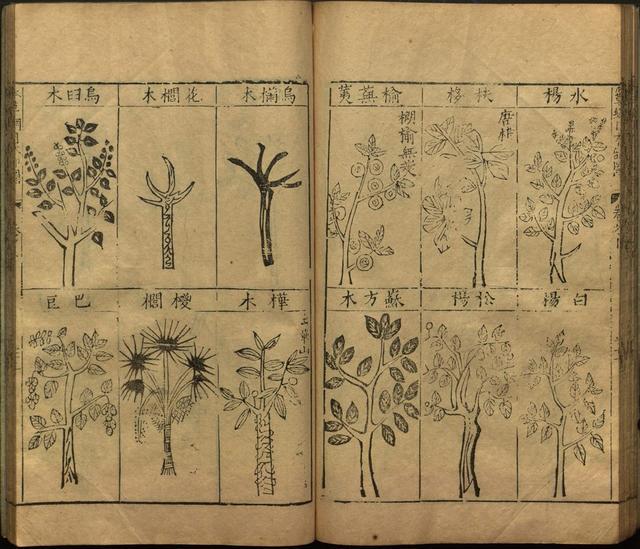 本草纲目全书带图，李时珍本草纲目全书（李时珍著《本草纲目》附图卷）