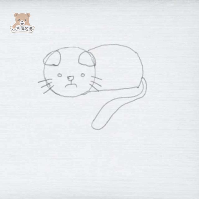 熊的简笔画怎么画，泰迪熊的简笔画怎么画（教你画一只小猫咪<详细步骤>）