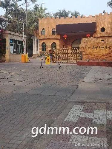 如何区分农眼树和荔枝树，龙眼树和荔枝树的区别（10个茂名冷知识）