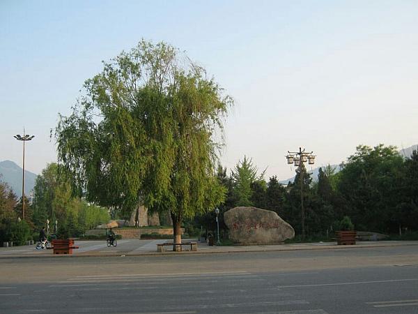 魂牵梦绕的拼音，魂牵梦萦的读音（魂牵梦绕——鸭绿江）