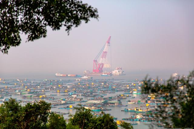 阳江属于哪个省，阳江属于哪个市（拿下“幸福宜居城”称号）