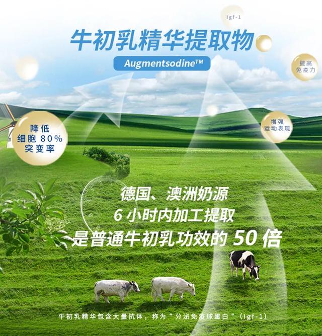 highc在钢琴的哪个键，钢琴上的highc在哪里（C——守护健康）