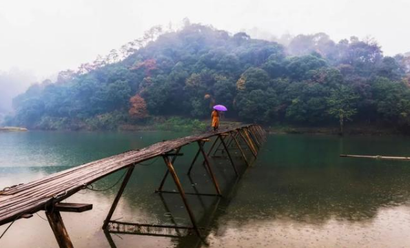 经典散文诗歌，经典散文诗歌朗诵大全小学生（六首催泪诗词：物是人非事事休）