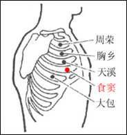 艾灸养生项目定价(艾灸养生项目有哪些)