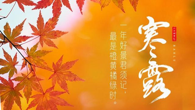 白居易写寒露的诗，白居易关于寒露的诗（感受白居易在深秋的寂寥之感）