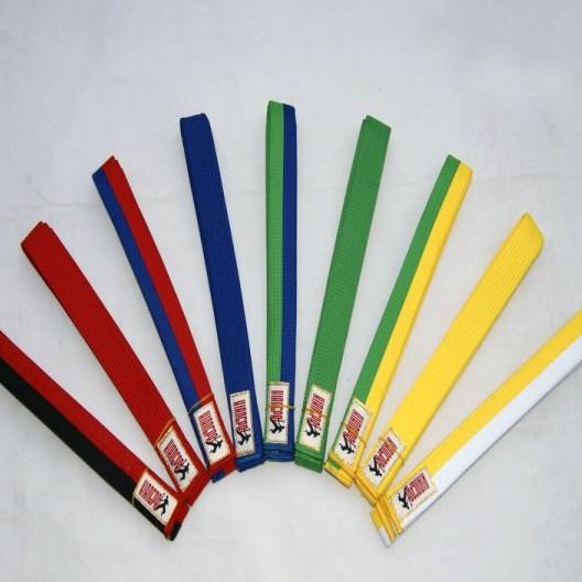 1级(红黑带)这一级别为红带加黑杠,想要佩这一色带的道带,至少要练习