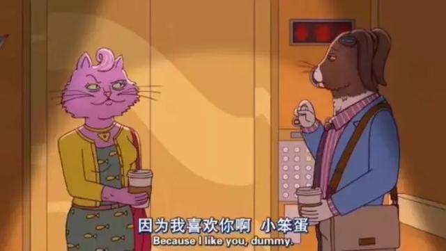 559是什么意思，559是什么意思爱情（还可以向喜欢的人表白）