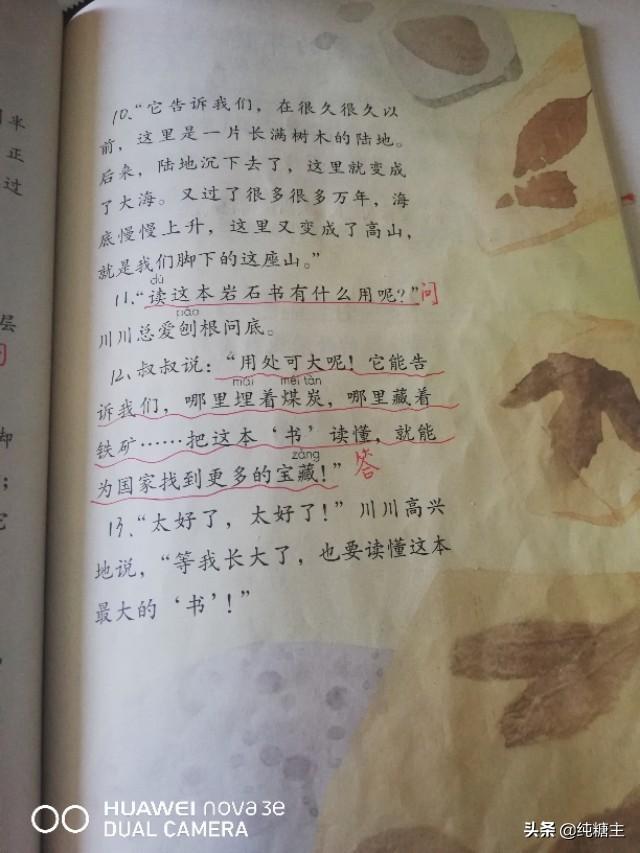 为什么雨后天上挂着彩虹?答案，为什么雨后天上挂着彩虹（统编版二年级下册《语文园地六》知识积累点）
